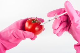 Maestría en Ciencia y Tecnología de los Alimentos