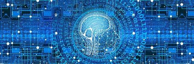 Doctorado en Ciencias de la Información